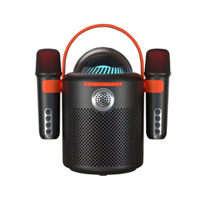Zvucnik Bluetooth Y-11 sa 2 mikrofona crni